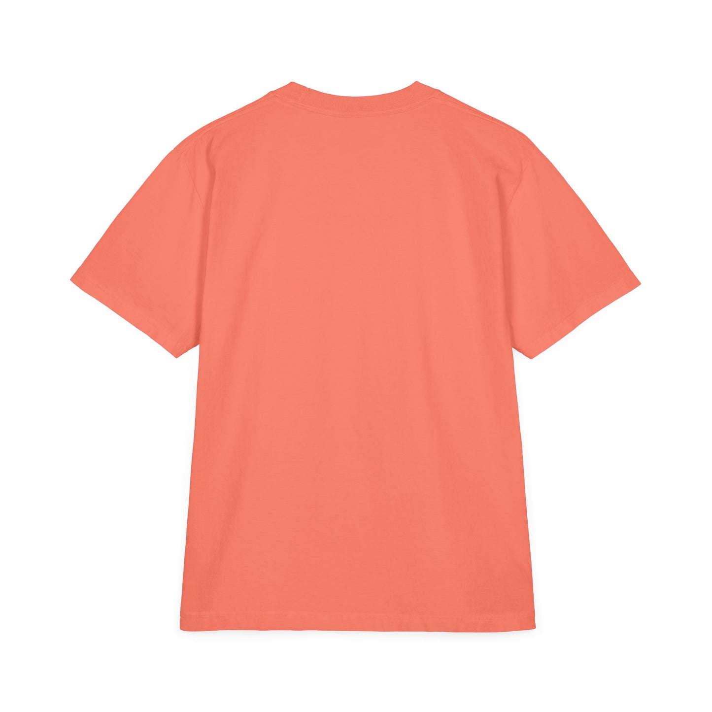 Minimalist White T-Shirt Crewneck