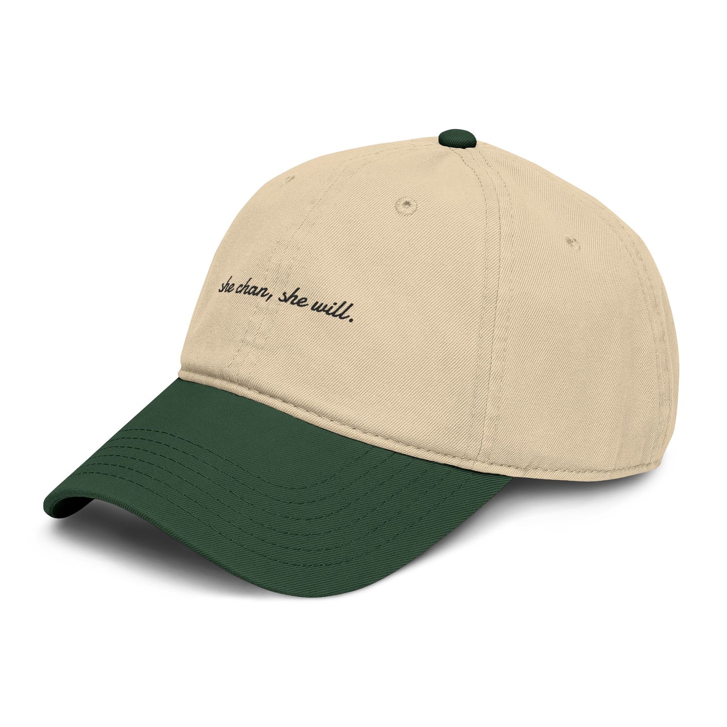 Washed Baseball Cap — "She Can, She Will" Embroidered Hat