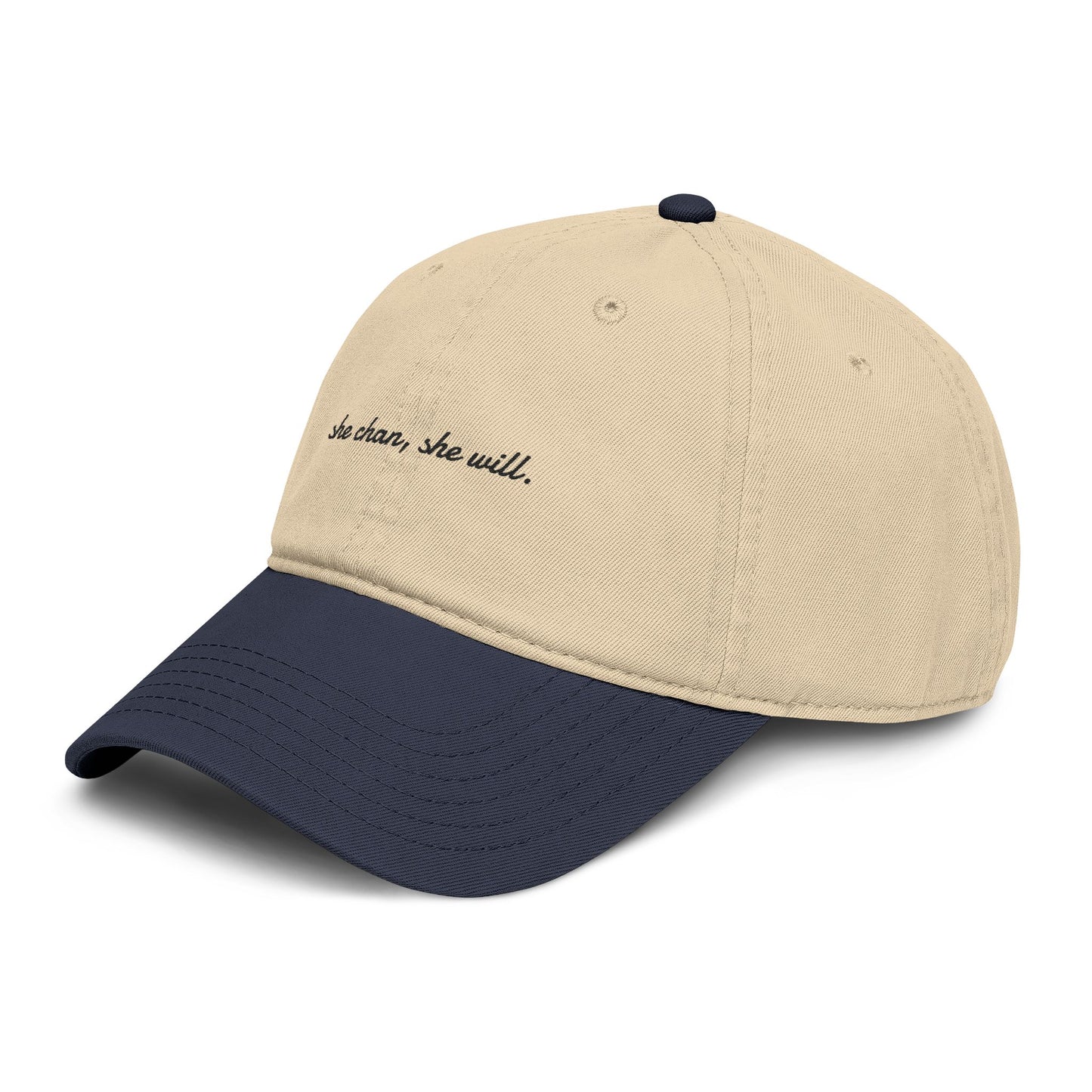 Washed Baseball Cap — "She Can, She Will" Embroidered Hat